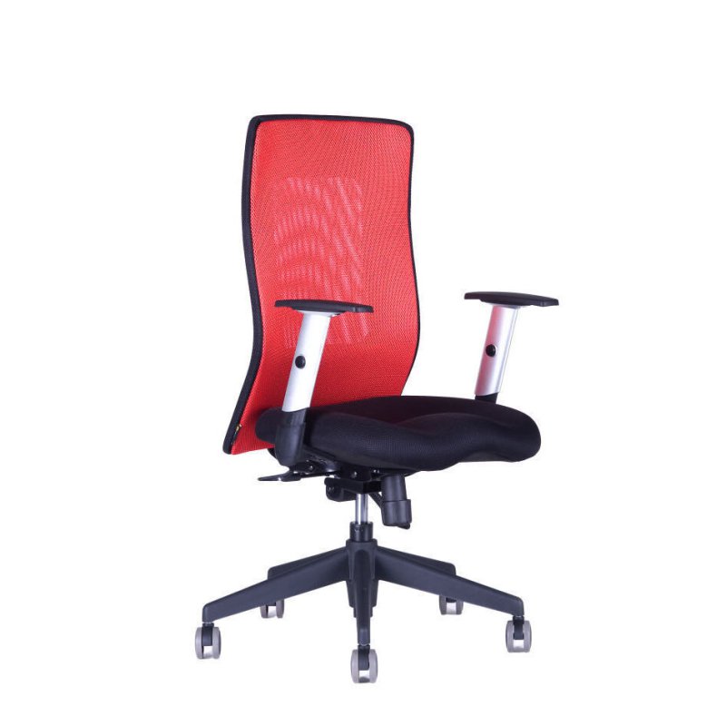 CALYPSO GRAND BP Jednoduše elegantní design a pohodlné posezení – to jsou hlavní přednosti židle Calypso GRAND. Opěrák, vysoký 63 cm, zaručí kvalitní sezení i uživatelům s vysokou postavou.