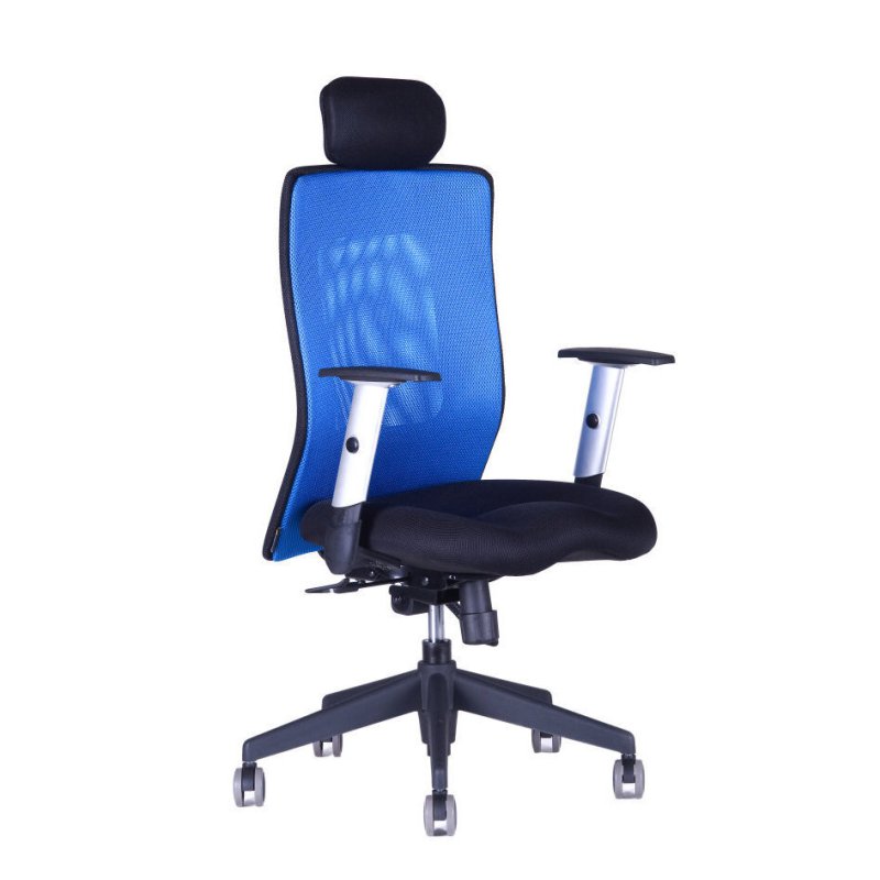 CALYPSO XL SP4 Zajímavá židle z řady Calypso, s opěrákem vysokým 58 cm a pevně fixovanou hlavovou opěrkou. Calypso XL ocení zejména uživatelé vyšší postavy.