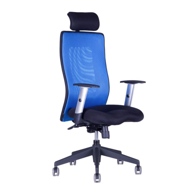 CALYPSO GRAND SP1 Jednoduše elegantní design a pohodlné posezení – to jsou hlavní přednosti židle Calypso GRAND. Opěrák se stavitelnou opěrkou, vysoký 63 cm, zaručí kvalitní sezení i uživatelům s vysokou postavou.